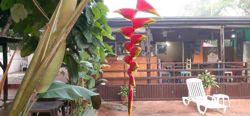 Residencial Noelia Hostel Puerto Iguazú Buitenkant foto